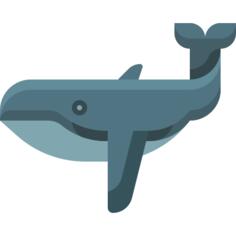 Whale
