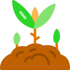 Sprout