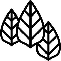 Leaves