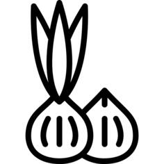 Onion