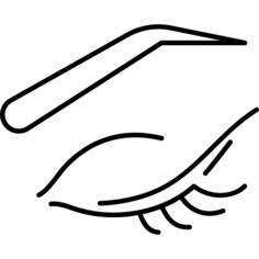 眼睛