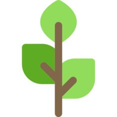 Herb