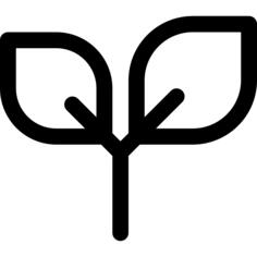 Herb