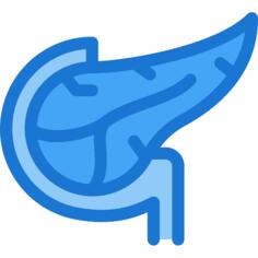 胰腺