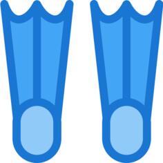 Flippers