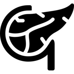 胰腺