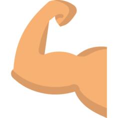 Muscle