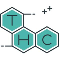Molecule