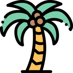 Palm tree