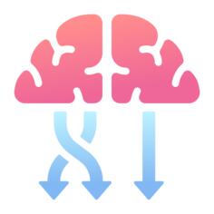 Brain