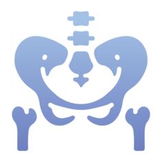 Pelvis