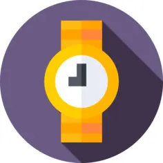 Wristwatch