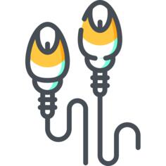 Sperm