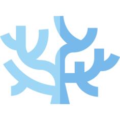 珊瑚