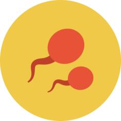 Sperm