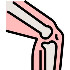 Knee