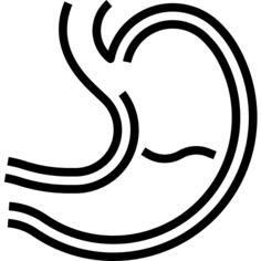 胃