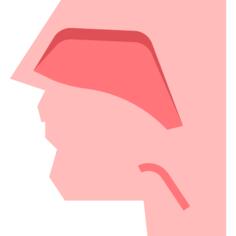 Otorhinolaryngology