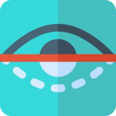 Eye scan