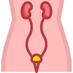 Urology