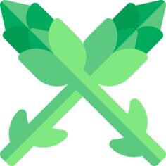 Asparagus