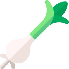 Spring onion