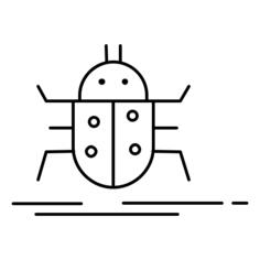 Bug
