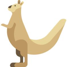 Kangaroo