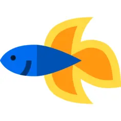 Siamese fighting fish