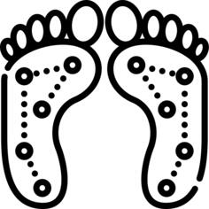 Foot