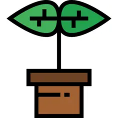 Plant