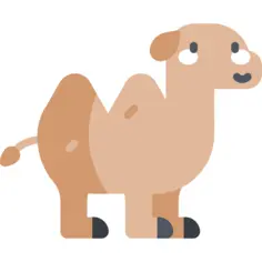 骆驼