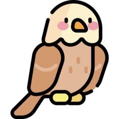 鹰