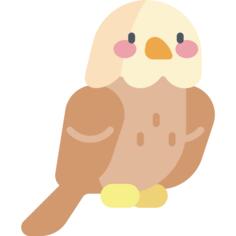 鹰