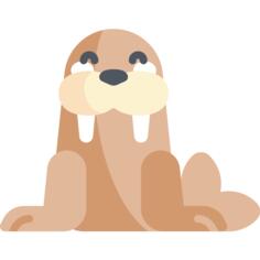 Walrus