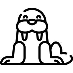 Walrus