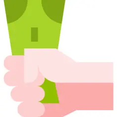 Income