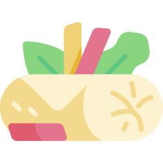 Spring roll
