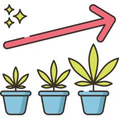 Vegetative