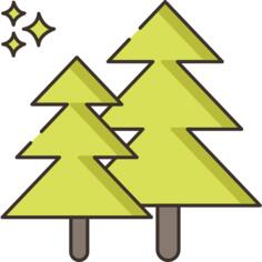 Pines