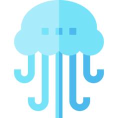 海蜇