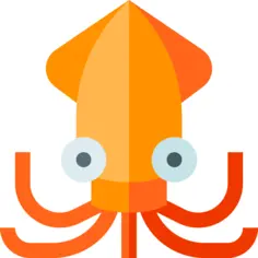 Squid