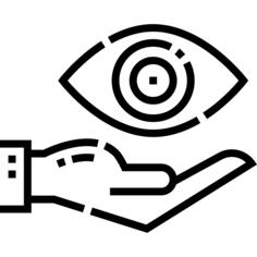 Vision