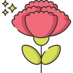Carnation