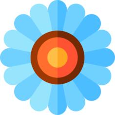 翠菊
