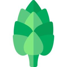 Artichoke