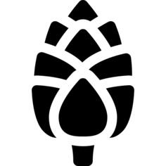 Artichoke
