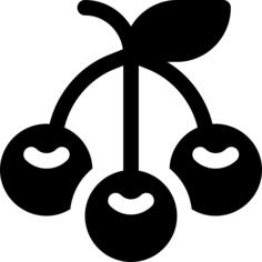 樱桃
