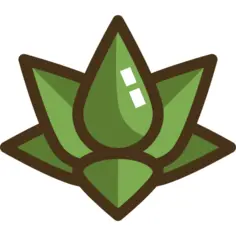 莲花