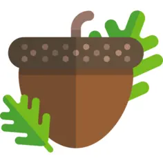 Acorn